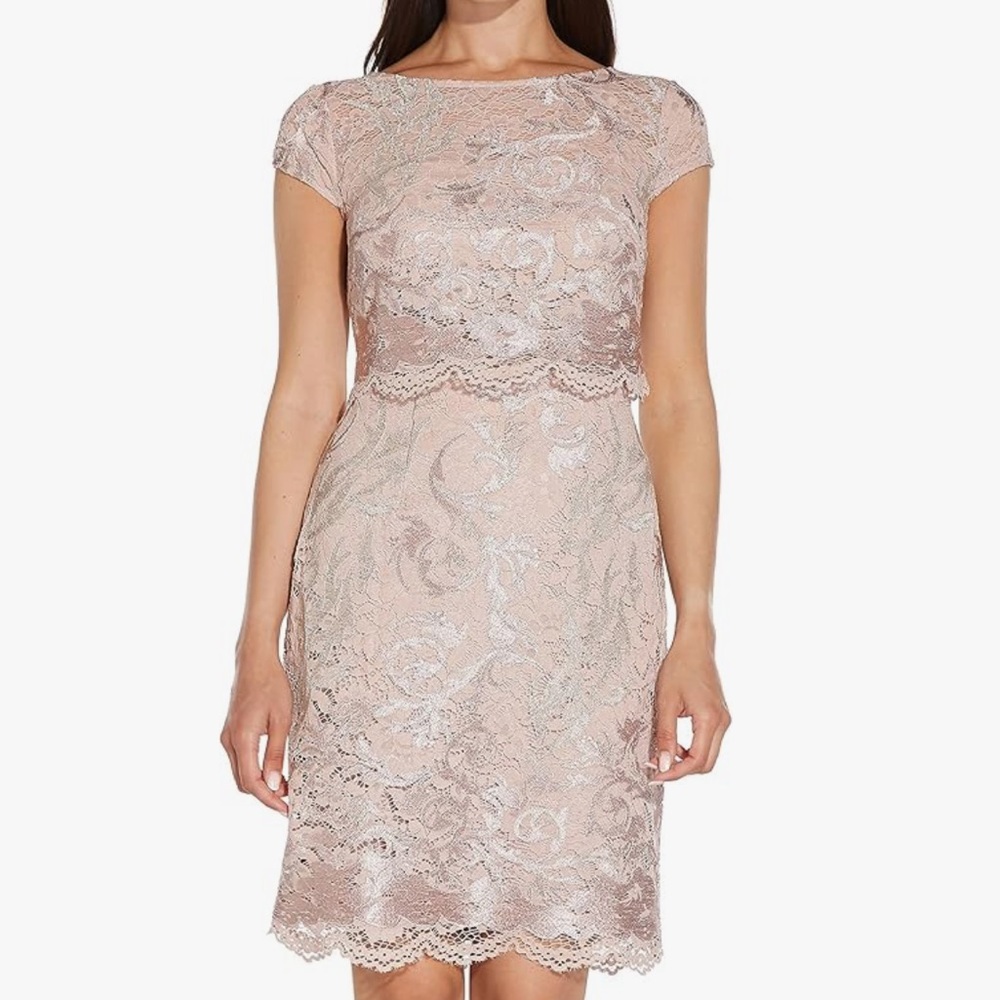 Adrianna Papell Embroidered Lace Dusty Rose Dress